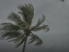 Cyclone1